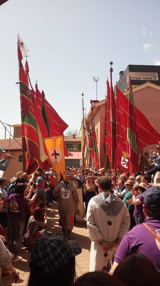 Pendones almanza feria medieval