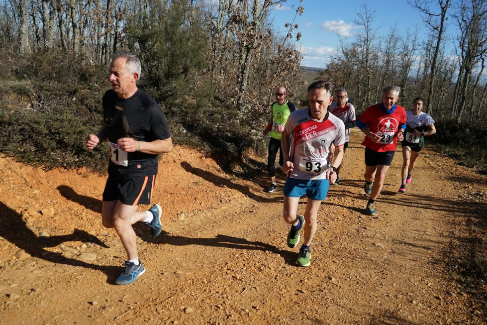Carrera almanza medieval