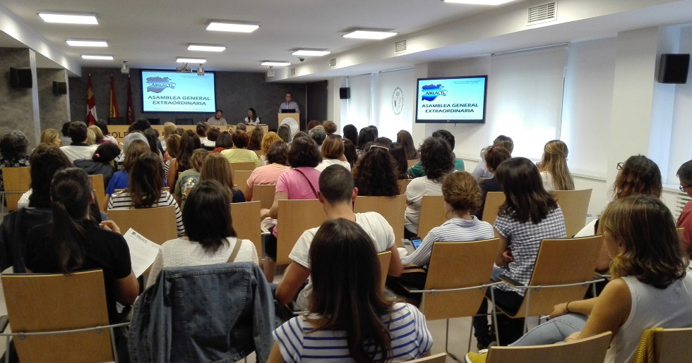 Ameacyl asamblea 2 10