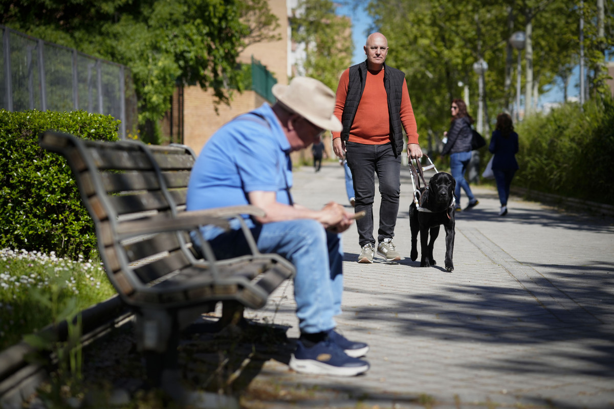 Usuario Perro Guía caminando