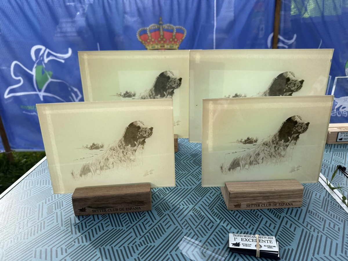 Monografica setter valdelugueros (6)