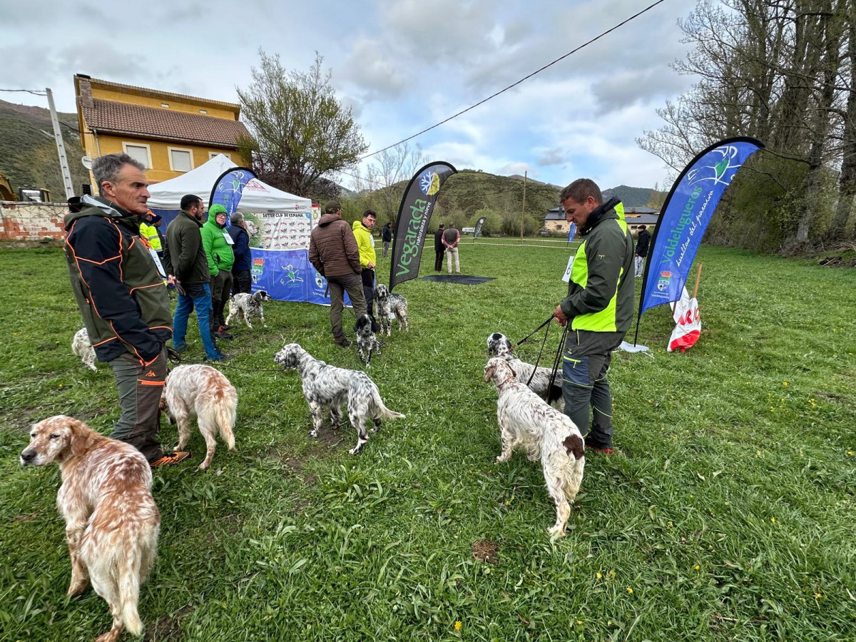 Monografica setter valdelugueros