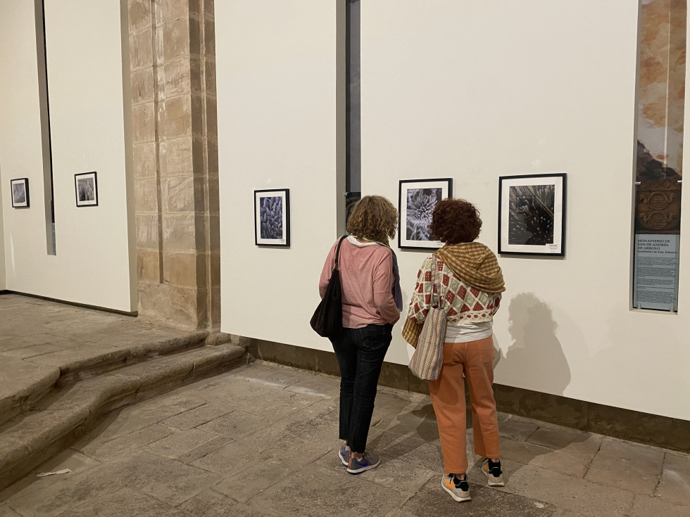 Fundacion Rom ExpoFotos ConchiPerez