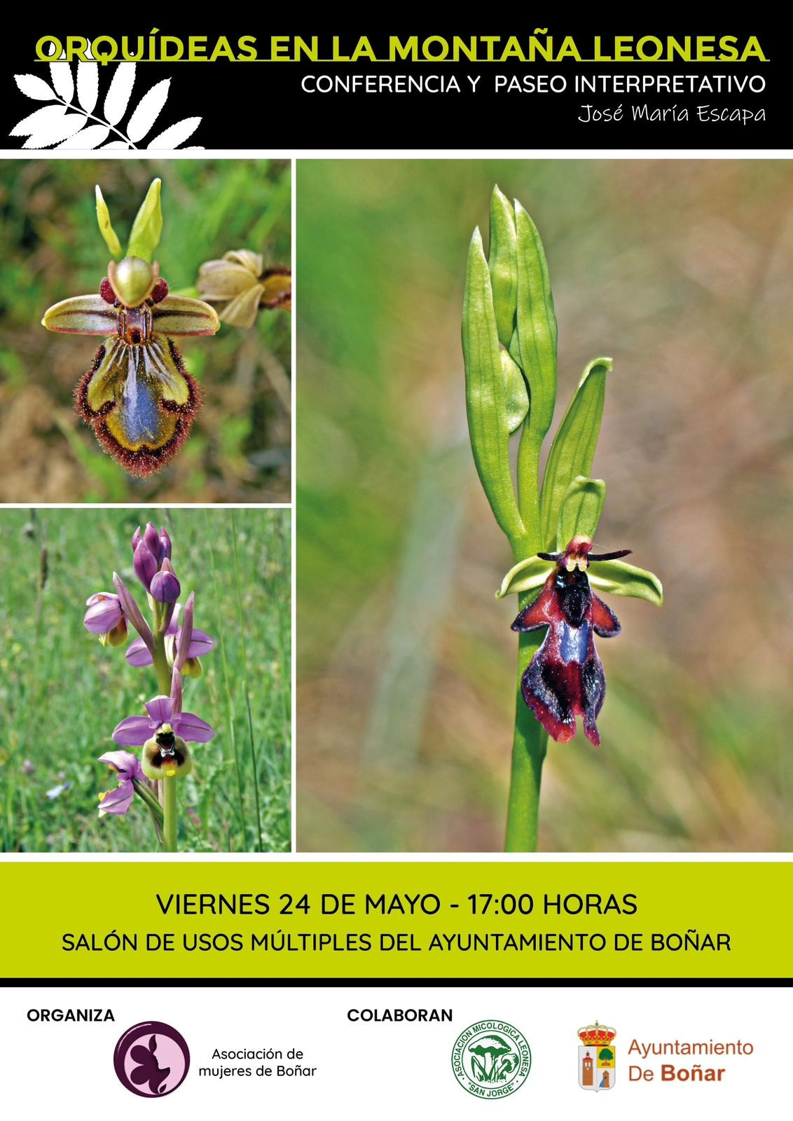 Cartel