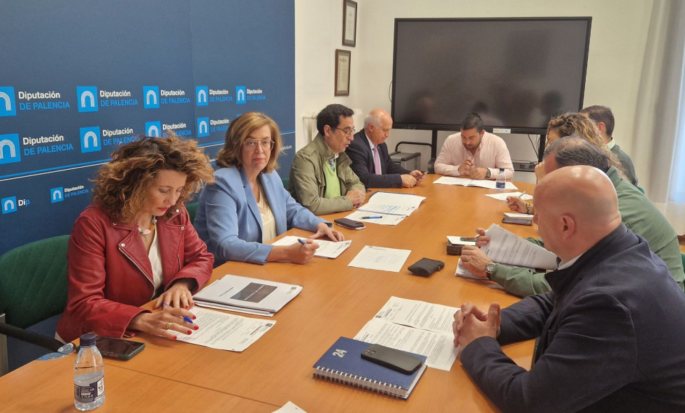 Junta de gobierno diputacion de palencia