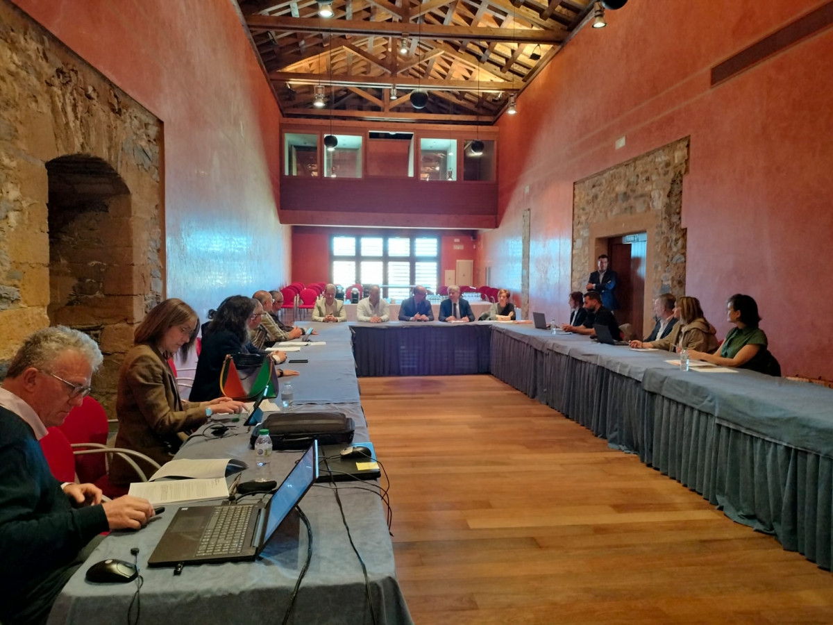 IMG Comisión Territorial Patrimonio Mayo (4)