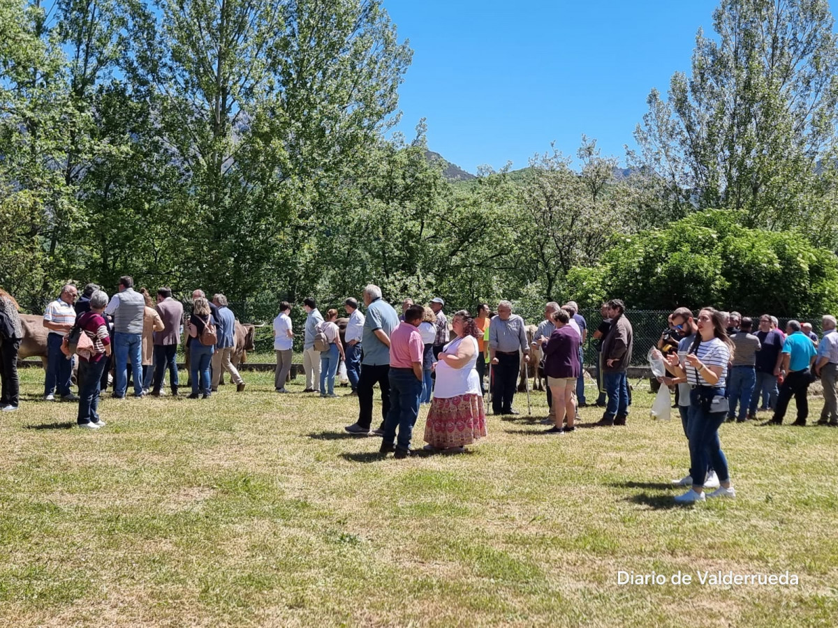 Feria de cremenes 2024 DDV 22