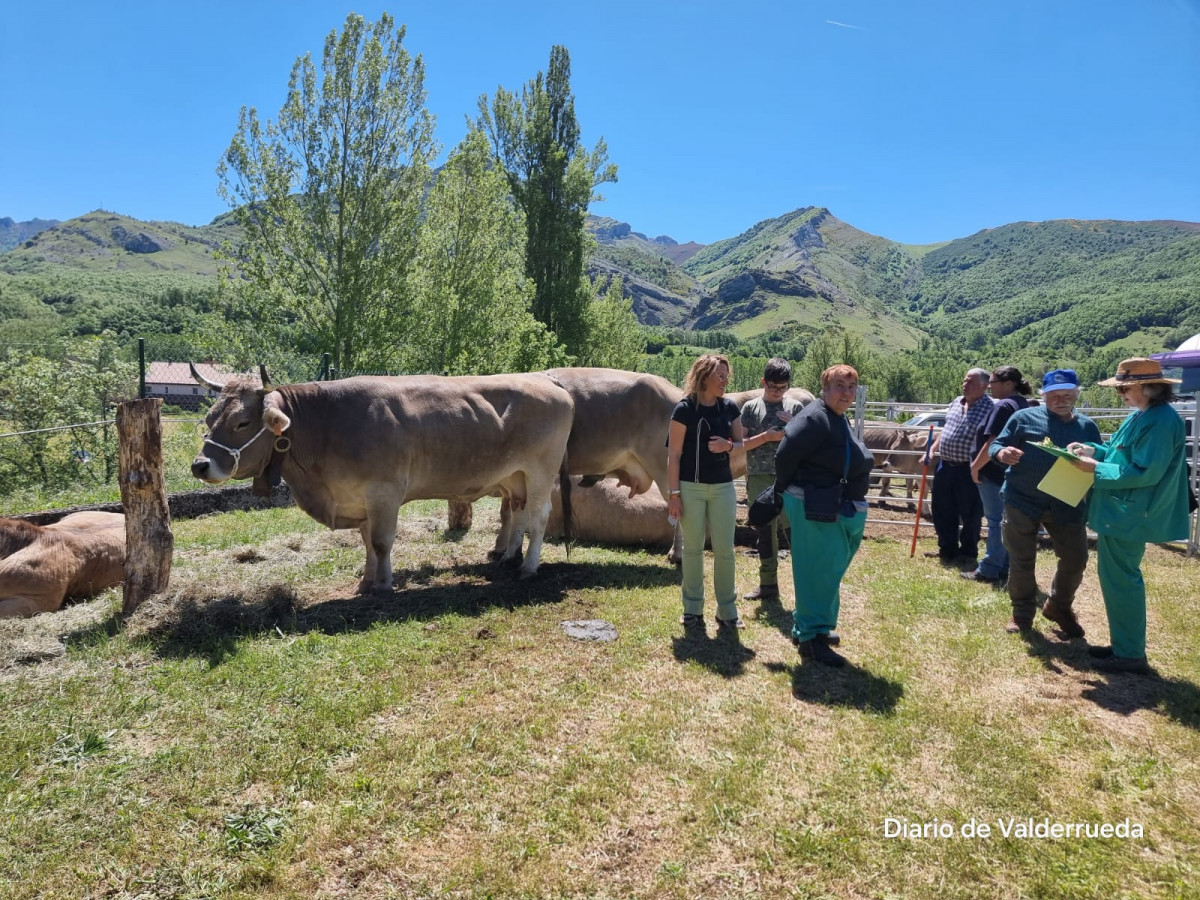 Feria de cremenes 2024 DDV 35