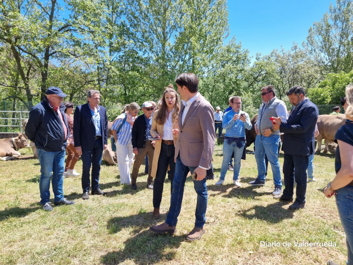 Feria de cremenes 2024 DDV 41