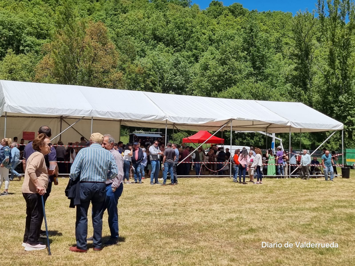Feria de cremenes 2024 DDV 50