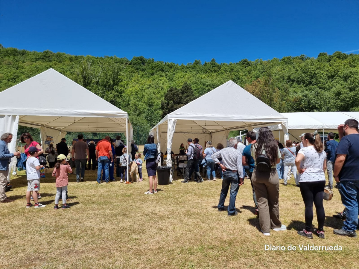 Feria de cremenes 2024 DDV 53