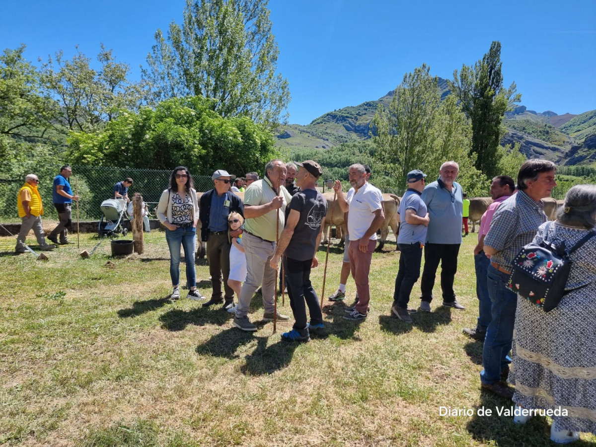 Feria de cremenes 2024 DDV 3