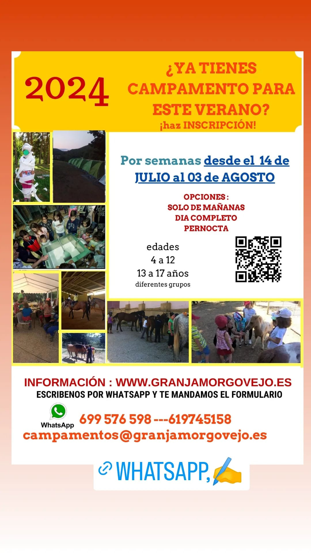 Cartel campamentos morgovejo