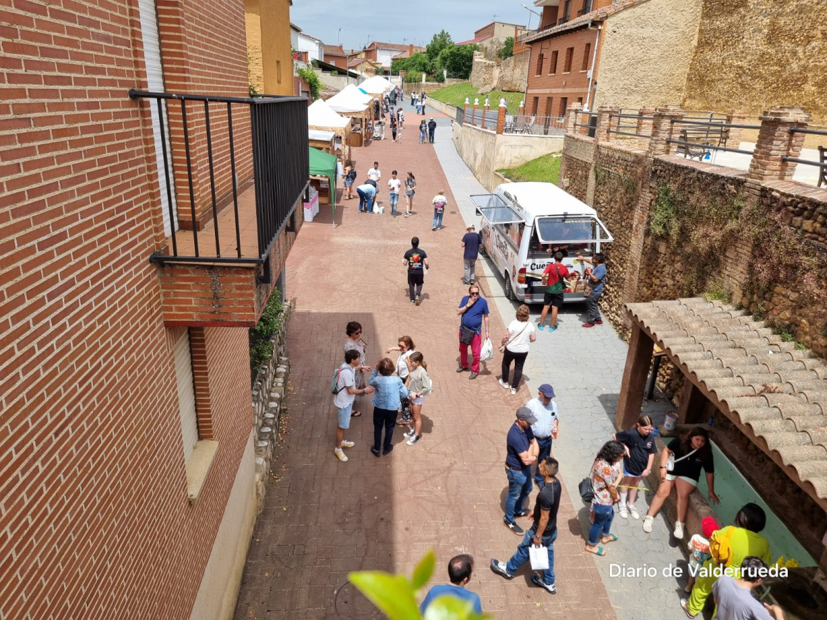 Frestival de la fresa almanza 2024 (6)