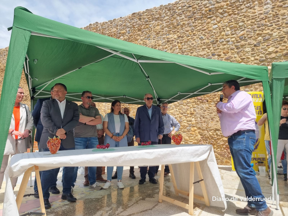 Frestival de la fresa almanza 2024 (9)