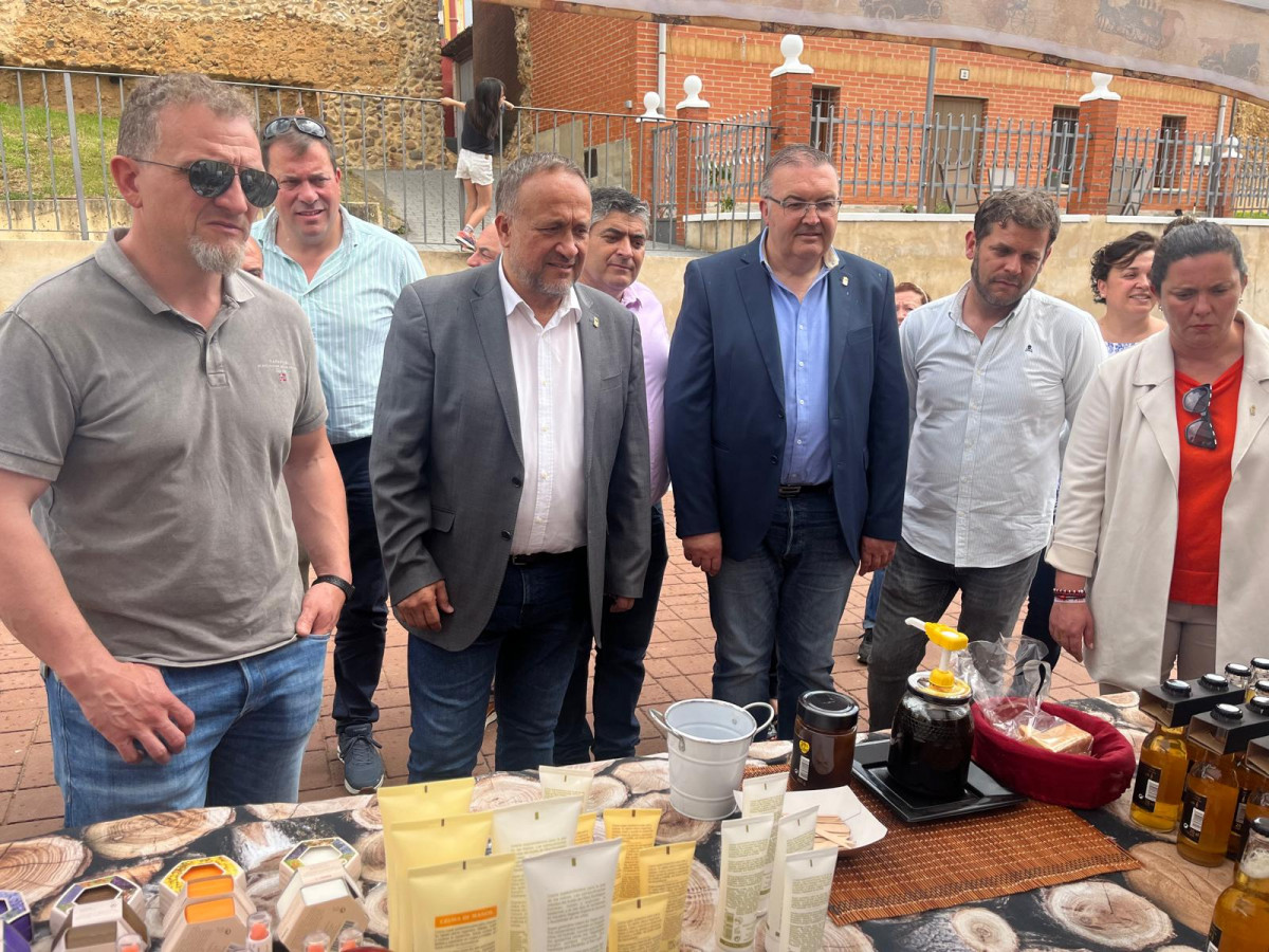 Frestival de la fresa almanza 2024 (10)