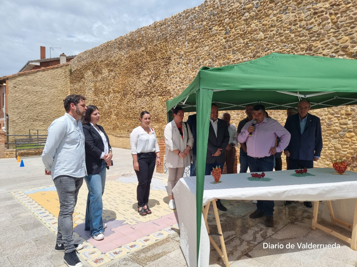 Frestival de la fresa almanza 2024 (8)
