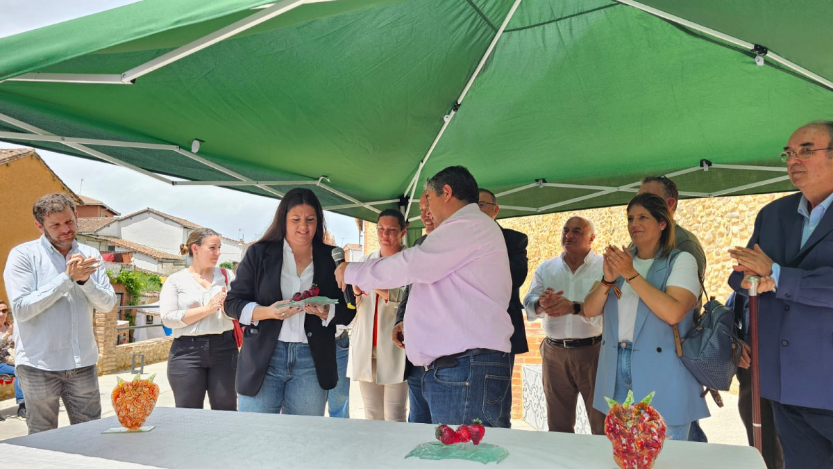 Frestival de la Fresa 2024 almanza (21)