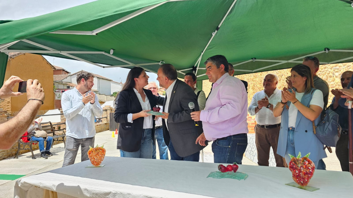 Frestival de la Fresa 2024 almanza (34)