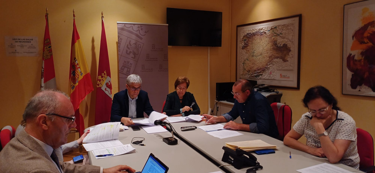Comision de patrimonio (2)