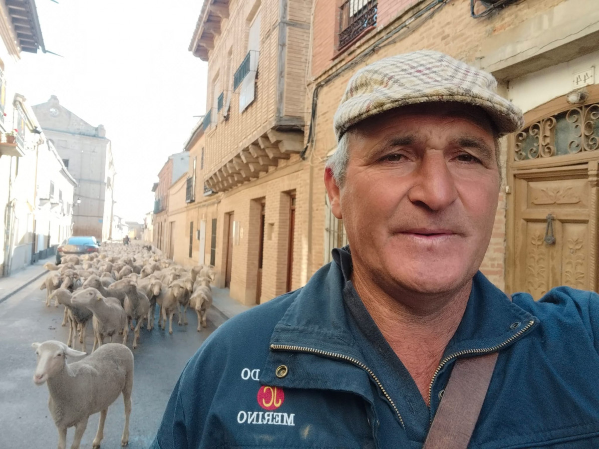 Trashumancia 2024 merinas 2