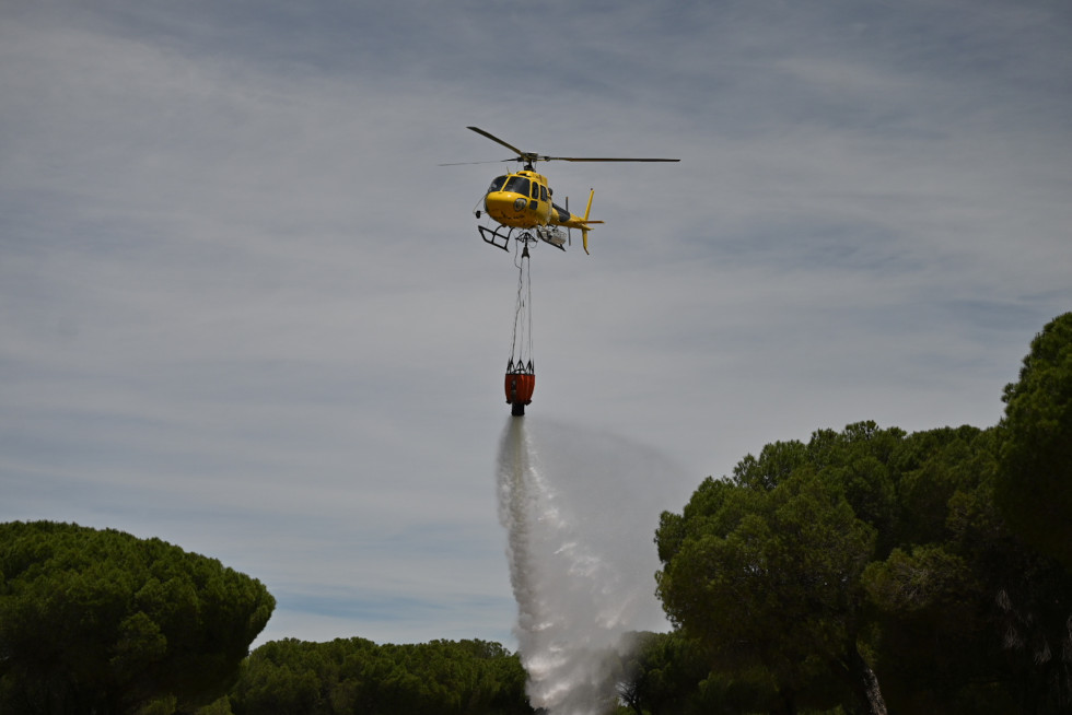 Simulacro incendio forestal jcyl