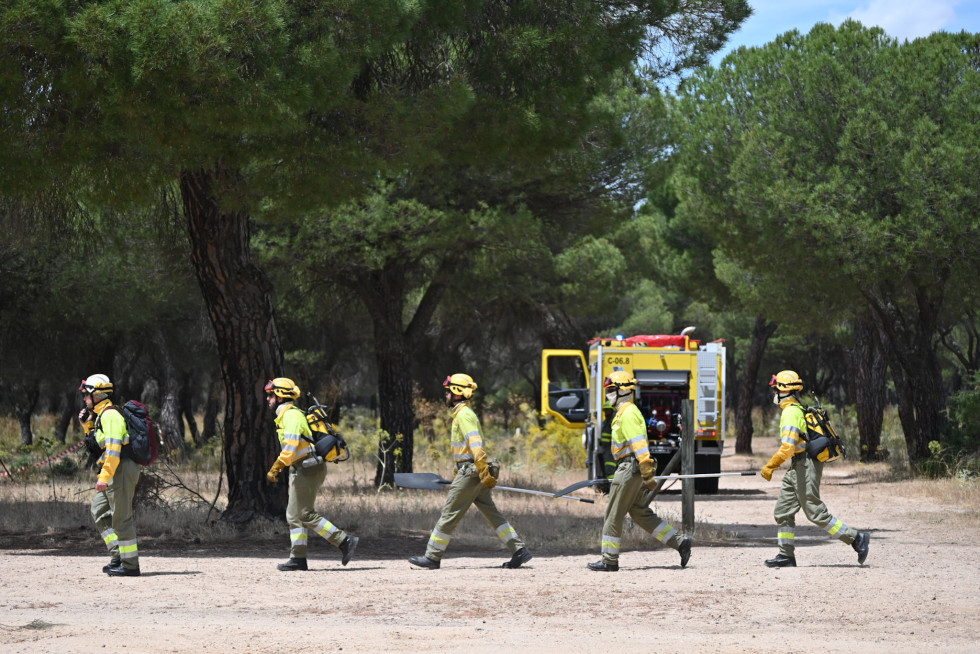 Simulacro incendio forestal jcyl (3)