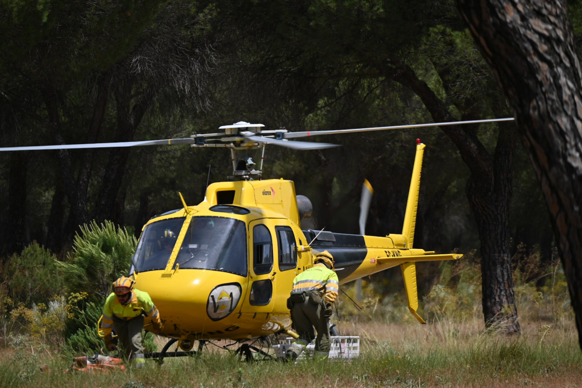 Simulacro incendio forestal jcyl (5)