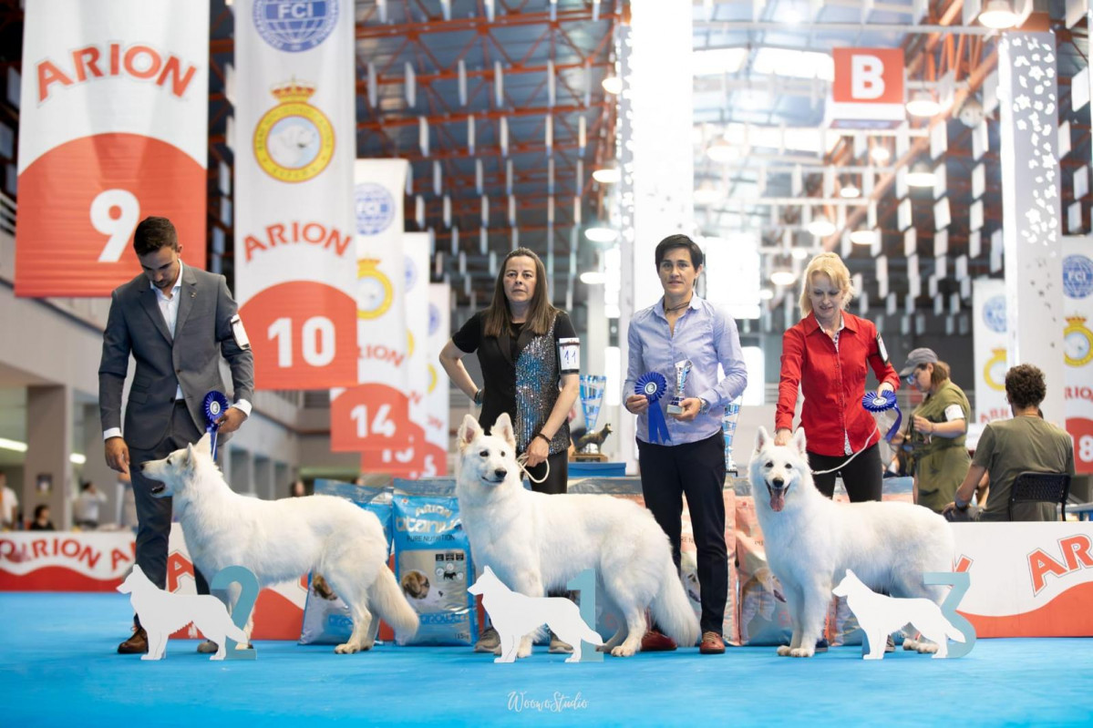 Blancos de valdeon Campeona de Espau00f1a vega de llos (2)