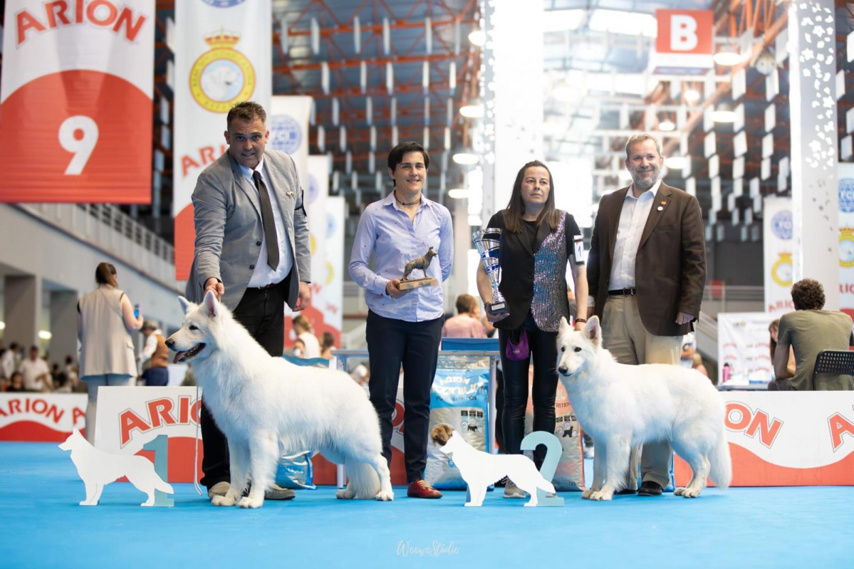 Blancos de valdeon Campeona de Espau00f1a vega de llos