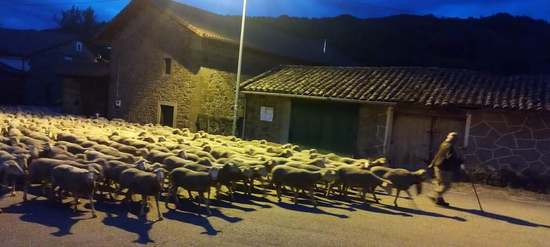 Trashumancia Otero de Valdetuejar    Rafa GA