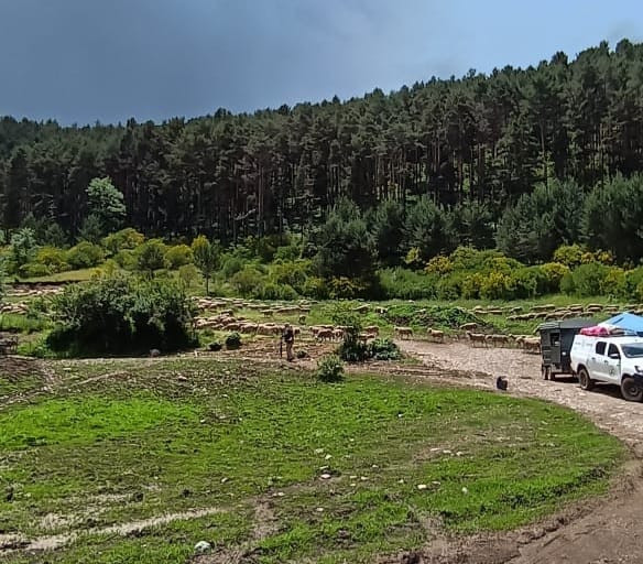 Trashumancia entorno de Prioro   Pilar Fernu00e1ndez (6)