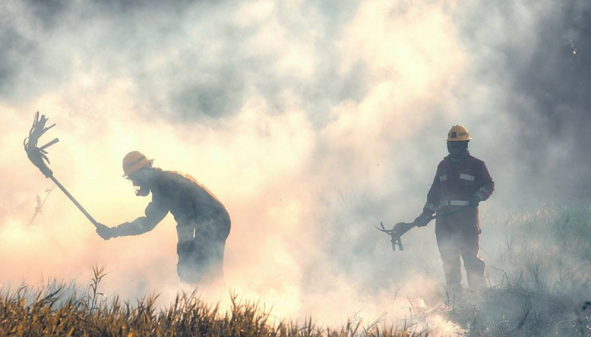 Incendio forestal 02