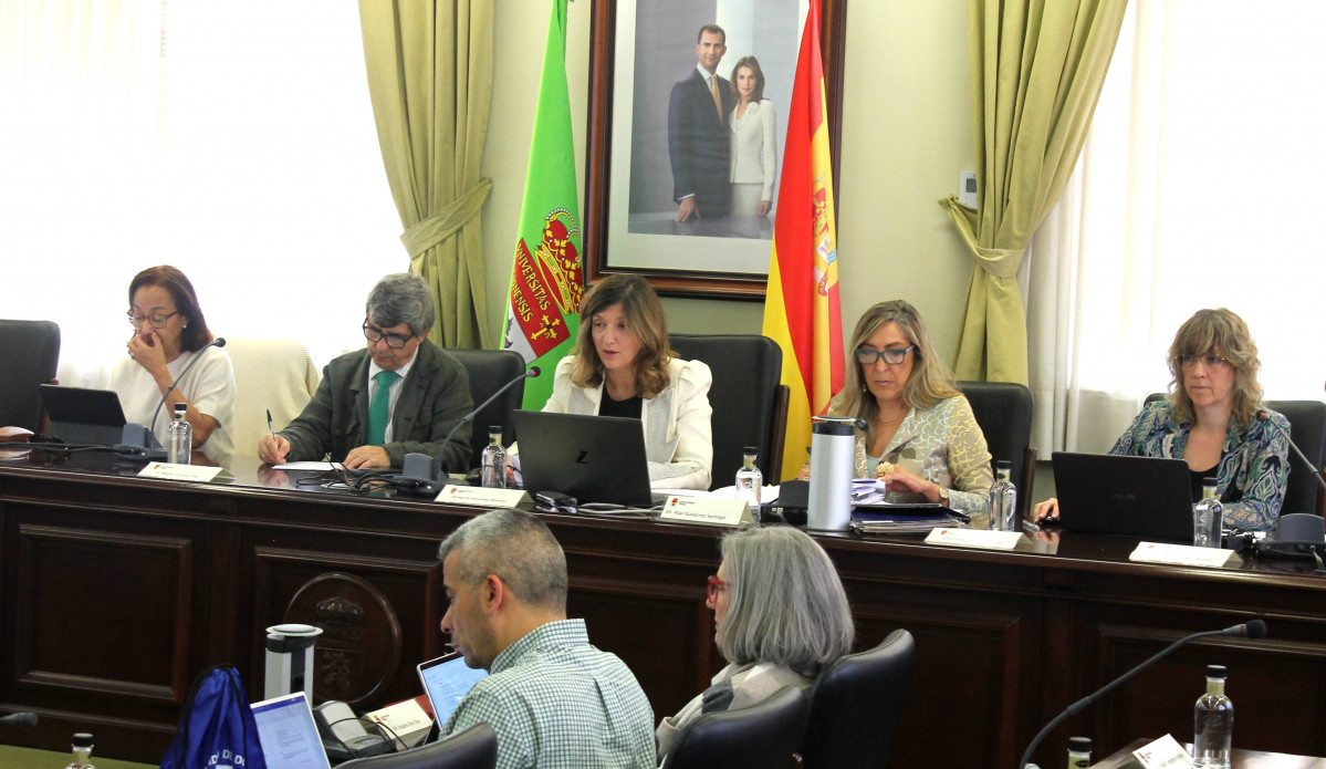 Consejo de Gobierno ULE 01