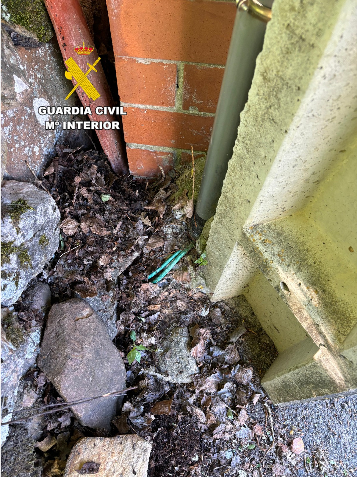 PHOTO 2024 06 21 12 51 46