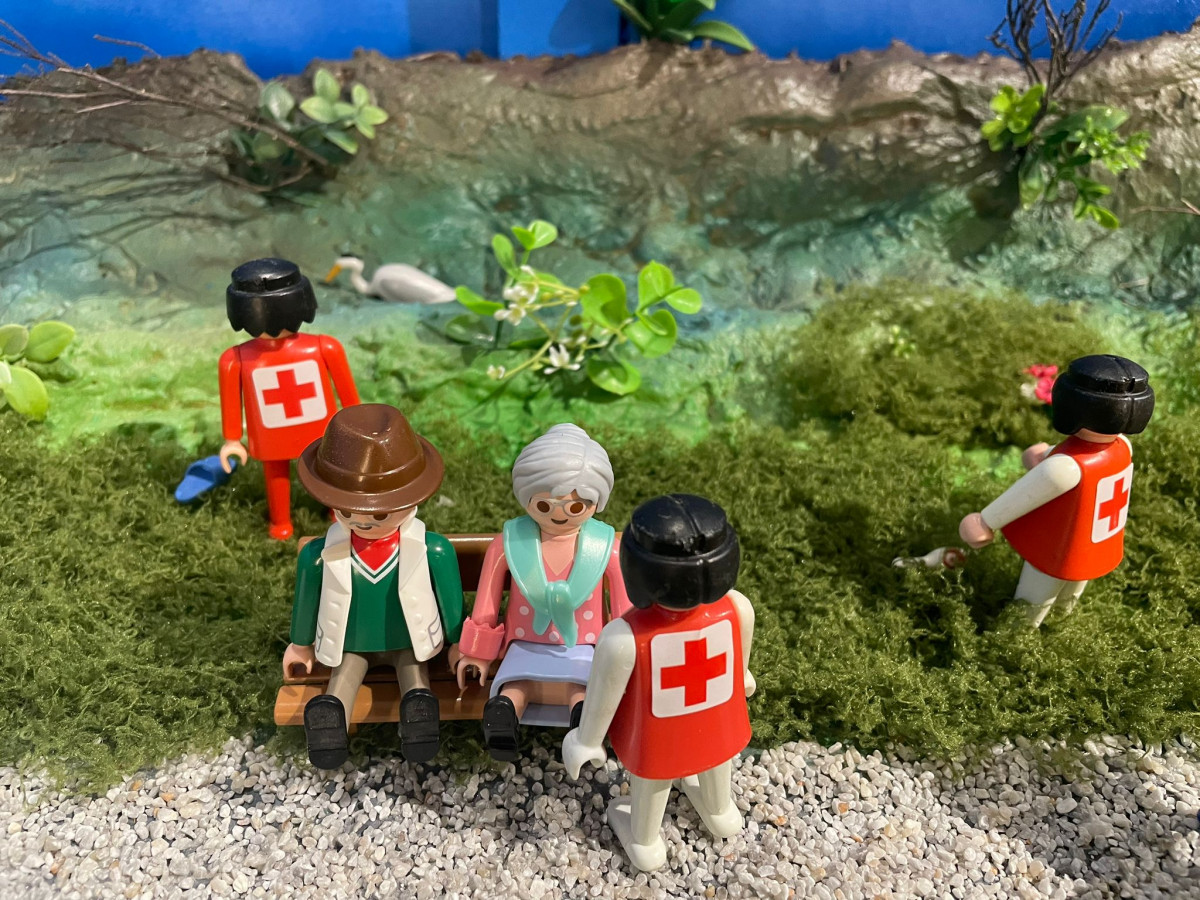 Expo playmobil (3)