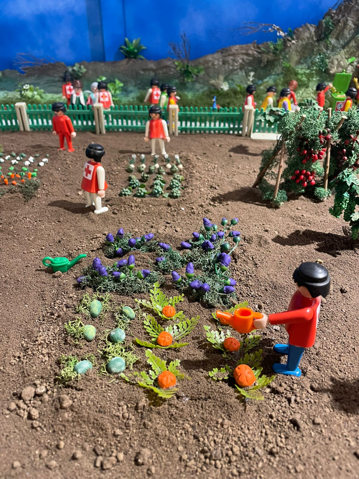 Expo playmobil (2)