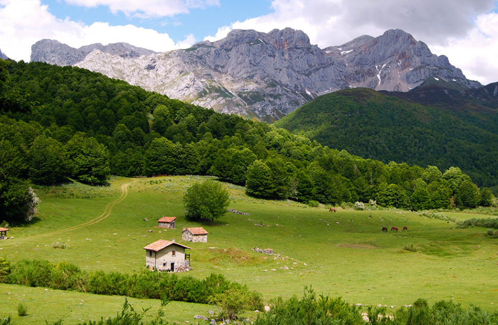 La Cotorra y Vegabano asoc turismo rural picos de europa leon