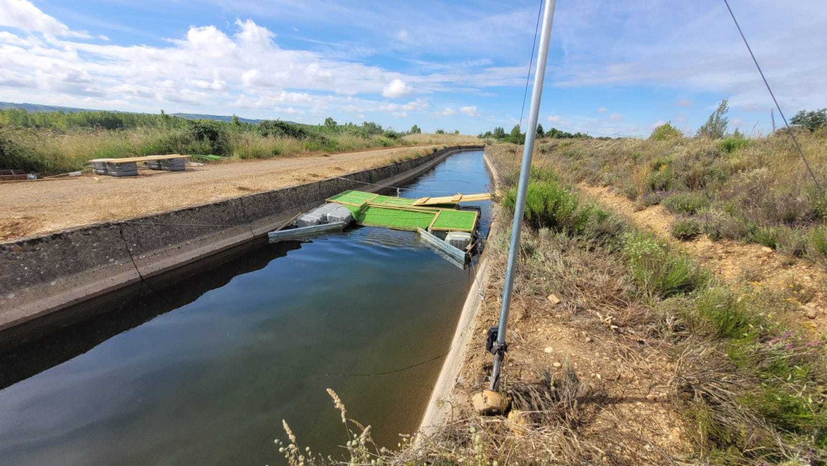 Canal Arriola 1