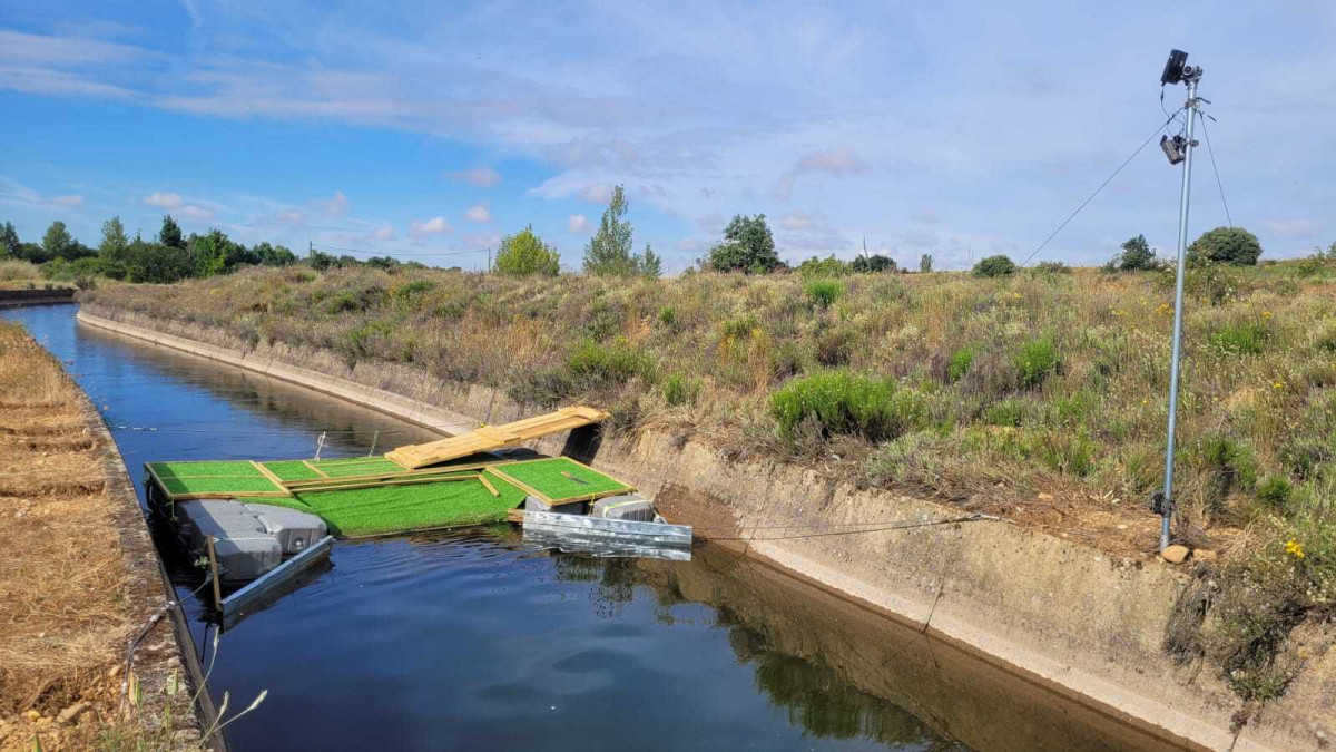 Canal Arriola2