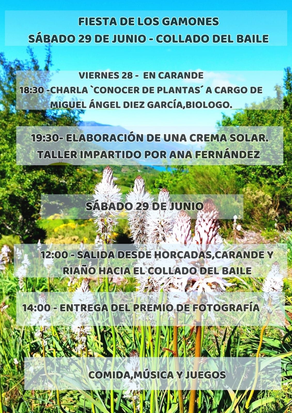 Cartel fiesta de los gamones 2024