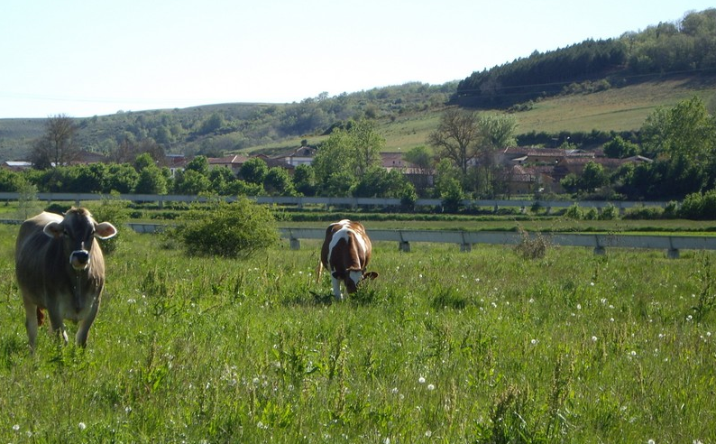 Villanofar de rueda (2)