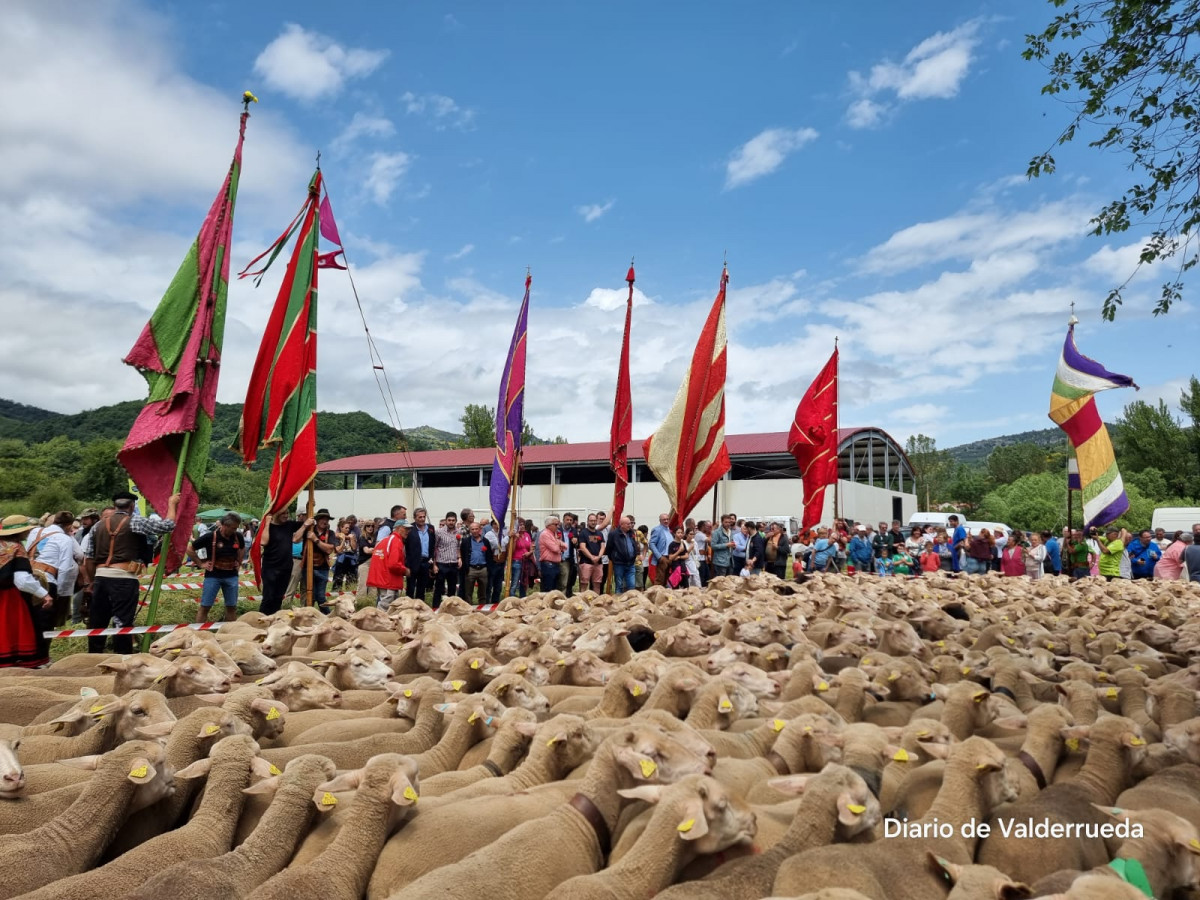 Fiesta trashumancia 2024 prioro DDV 16