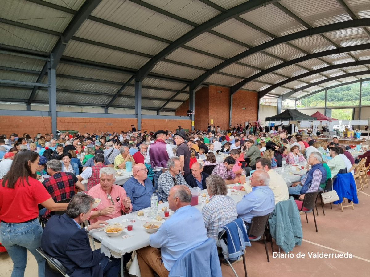 Fiesta trashumancia 2024 prioro DDV 5
