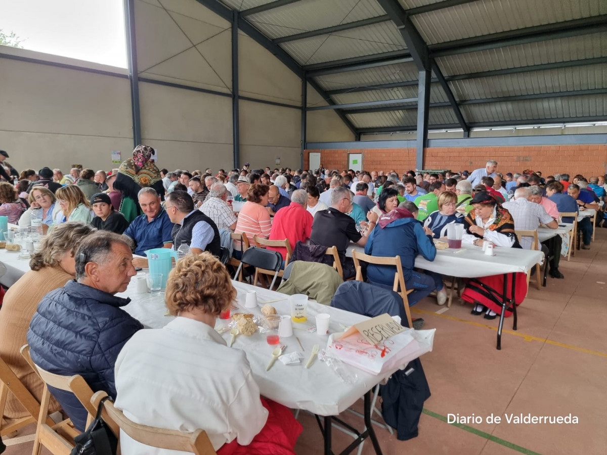 Fiesta trashumancia 2024 prioro DDV 7