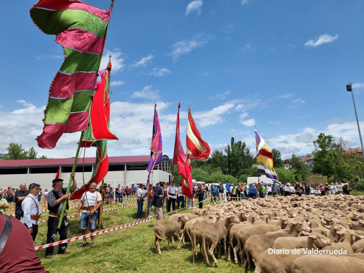 Fiesta trashumancia 2024 prioro DDV 18