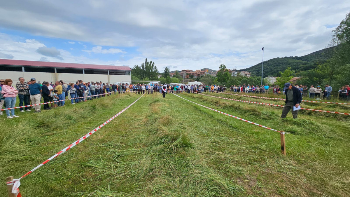 Fiesta trashumancia 2024 prioro DDV 40
