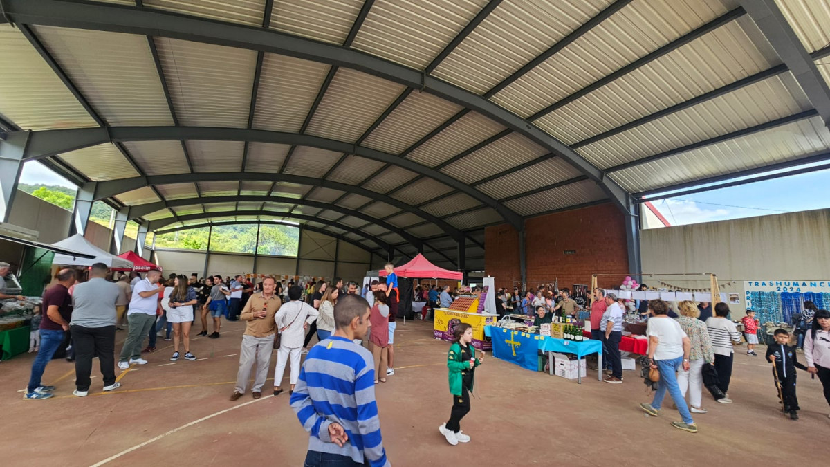 Fiesta trashumancia 2024 prioro DDV 41