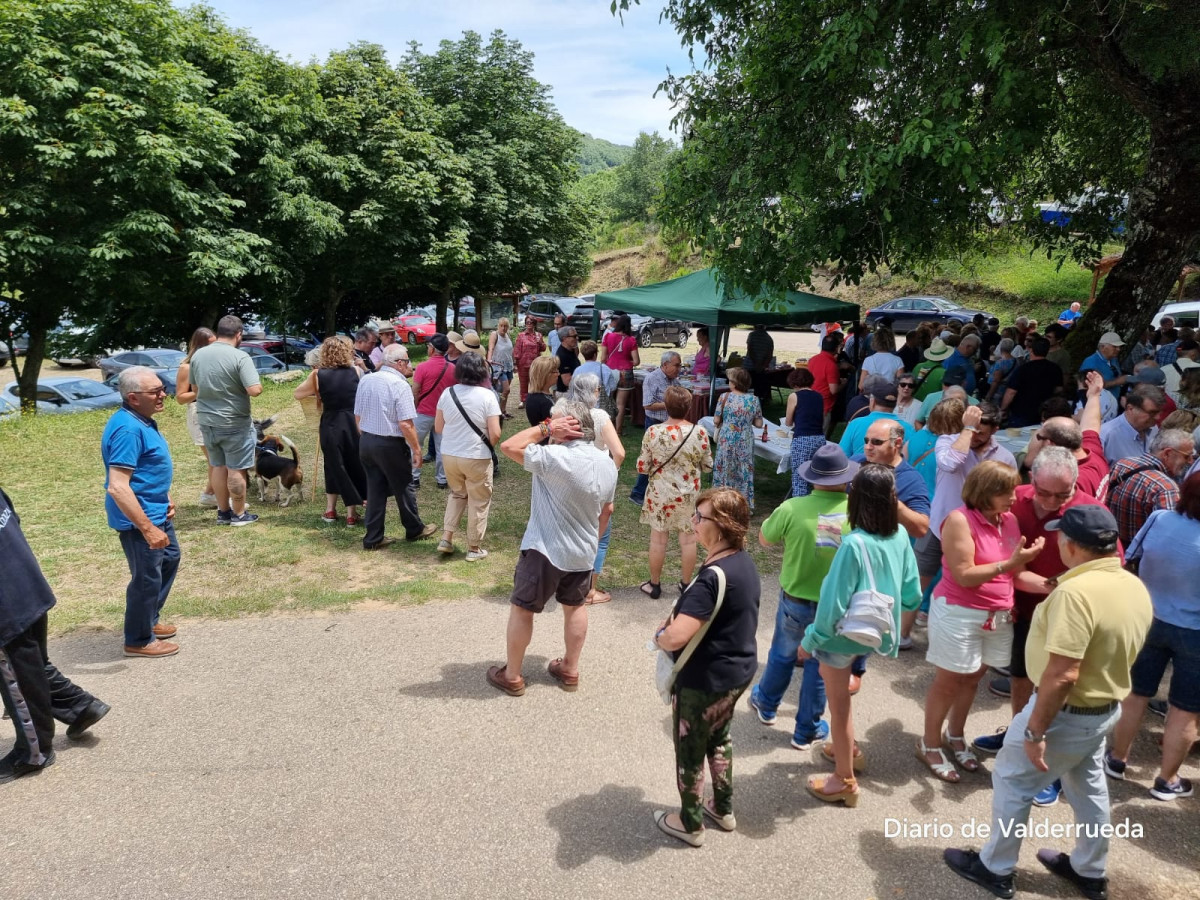 Romeria valderrueda valdetuejar 2024 (19)