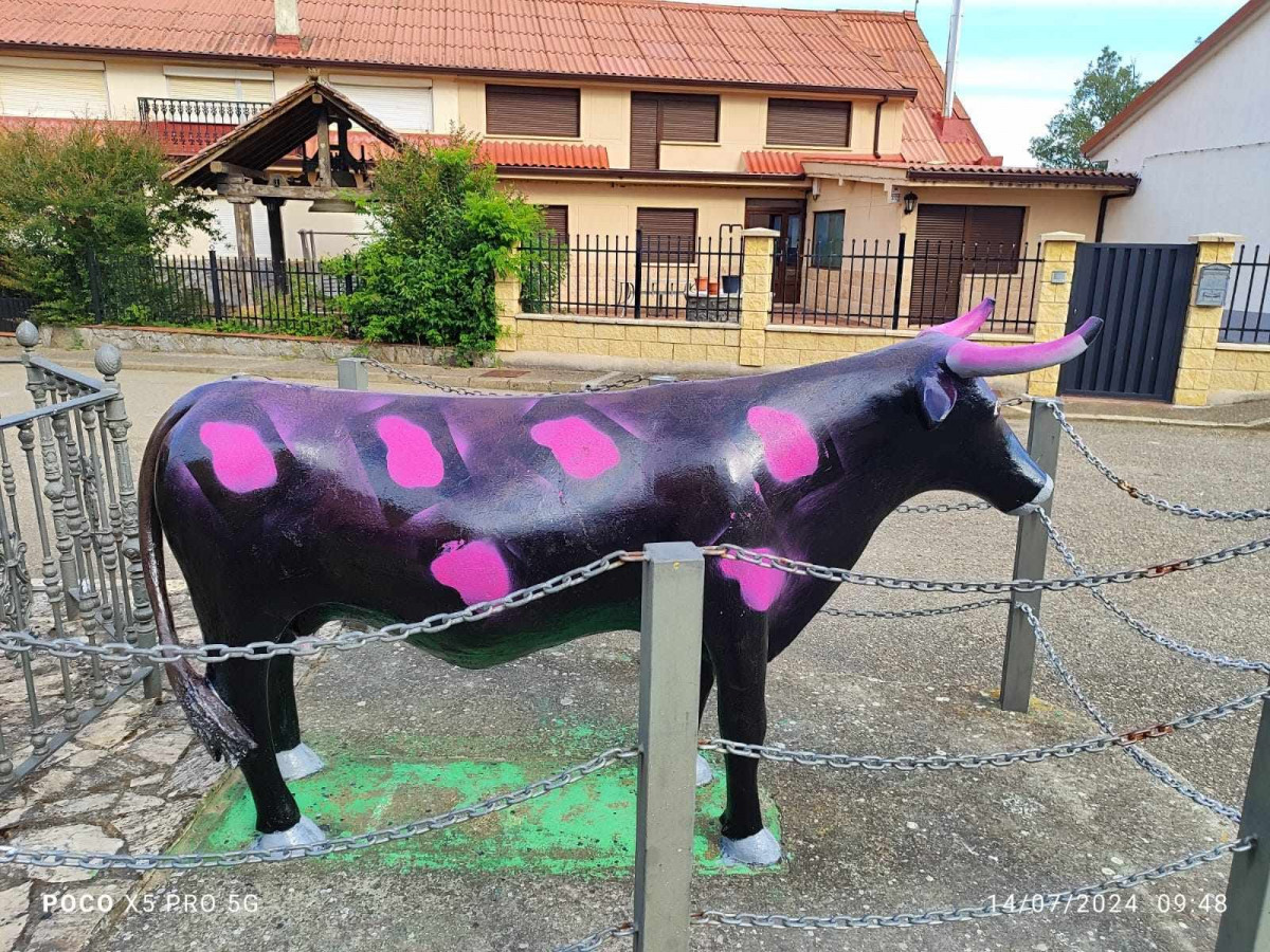 Actos vandalicos vaca villapadierna